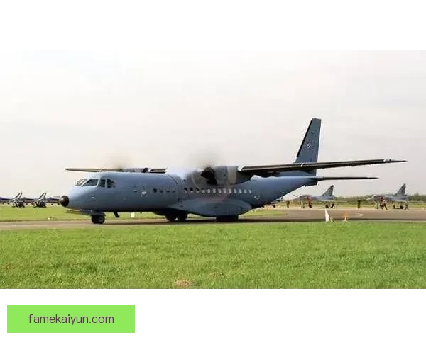 梅里诺风格分析：当前状态与战术适应性持续提升